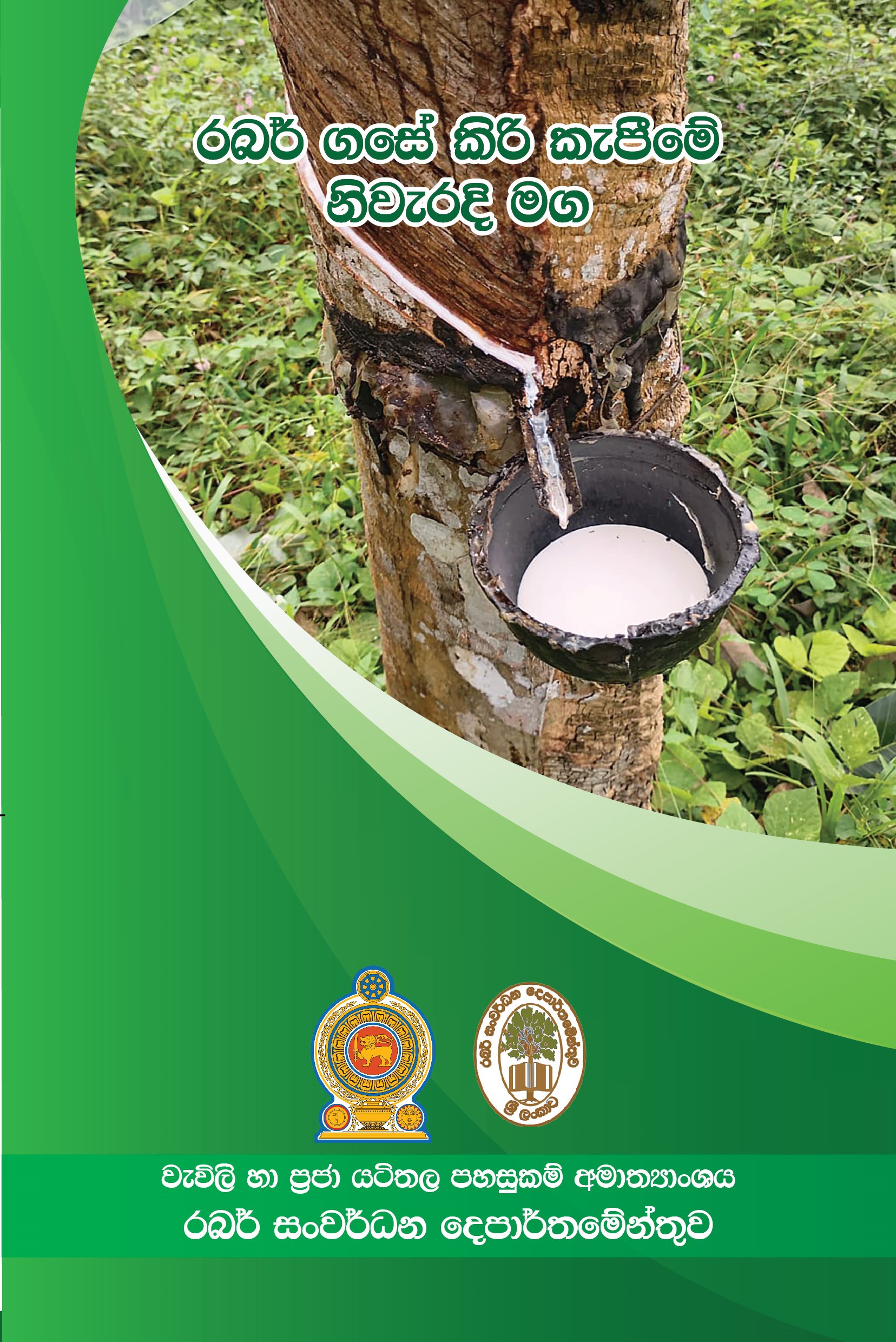 Kiri_Kepime_Niwaradi_Mag_Leaflet_2024.12.jpg