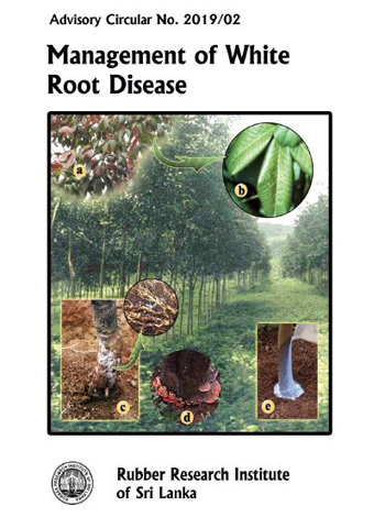10. Management of White Root Disease   Front   2019