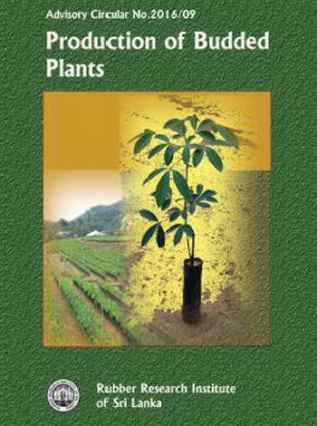 4. Production of Budded Plants   Front