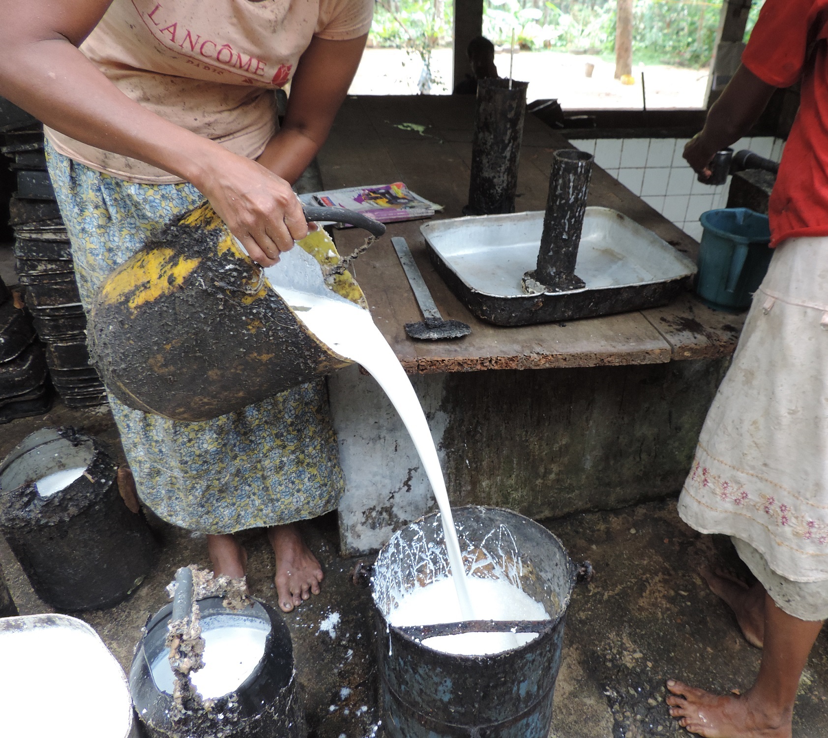 IMG 20241129 WA00891