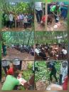 Training programs for immature rubber cultivators in 2025.