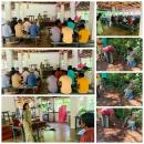 අපරිණත වගා නඩත්තුව